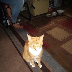 Meet your Posher, Warren